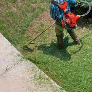 Weed trimmer in use by landscaper